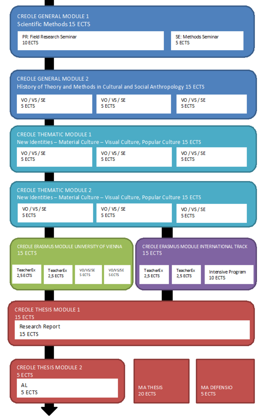 Grafik Curriculum